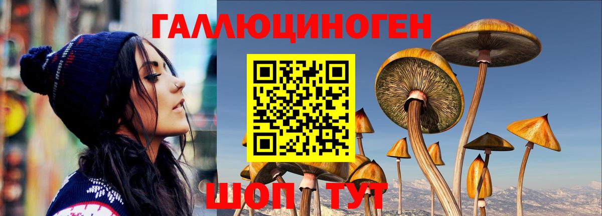 Псилоцибиновые грибы MAGIC MUSHROOMS Красноуфимск