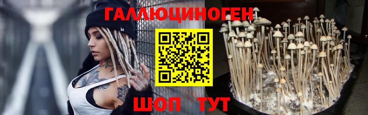 Галлюциногенные грибы Psilocybe  Псилоцибиновые грибы мицелий  Вход с VPN  Красноуфимск 